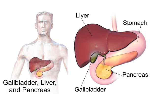 Gallbladder Cancer Symptoms Causes Treatment Dr Nikhil Agrawal