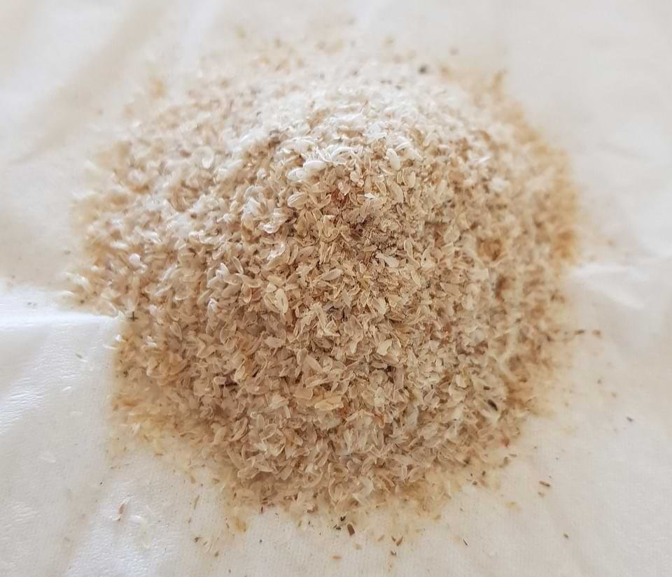 इसबगोल